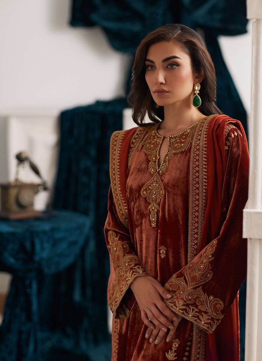 Veezal Embroidered Velvet Dress with Embroidered Karandi Shawl - VL941