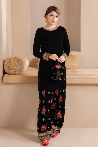 Embroidered Velvet Dress With Organza embroidered Dopata - VL978