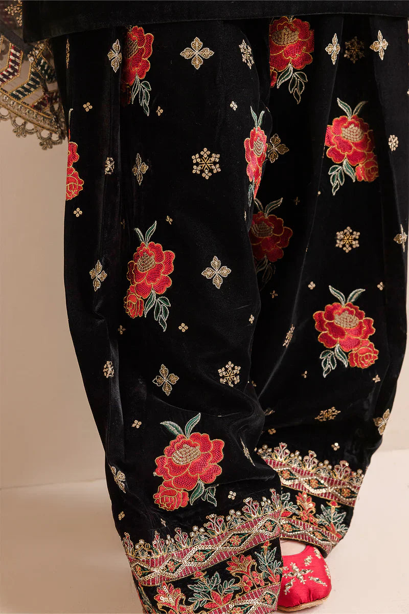 Embroidered Velvet Dress With Organza embroidered Dopata - VL978