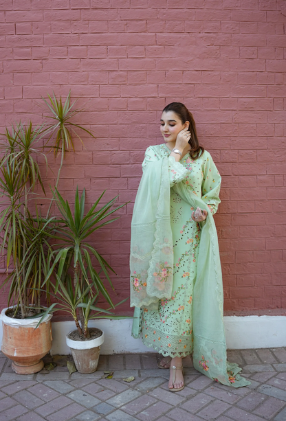 Aneela - Summer 3PC Lawn Embroidered Suit - VL1419