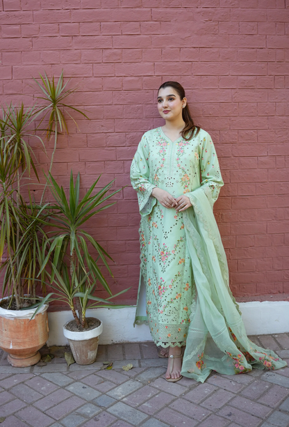 Aneela - Summer 3PC Lawn Embroidered Suit - VL1419